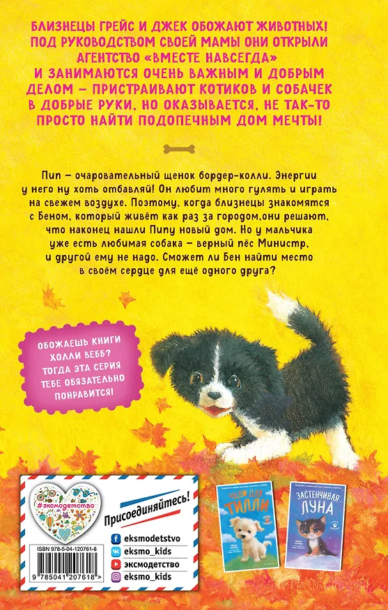 Книга Дом мечты для Пипа (выпуск 2) (Линда Чапмен) — 2