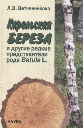 Карельская береза и другие редкие представители рода Betula L. — 2653422 — 1