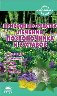 Природные средства лечения позвоночника и суставов — 2274240 — 1