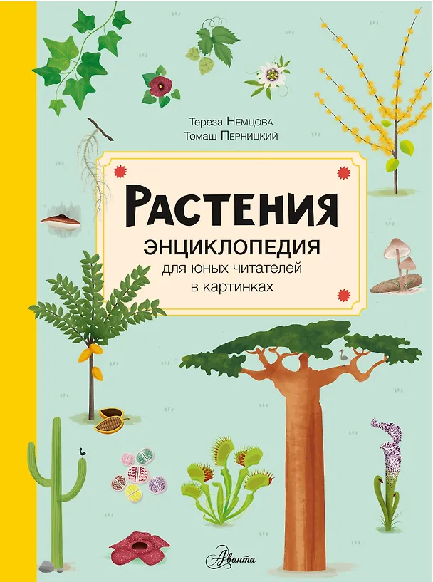 Книга Растения. Энциклопедия для юных читателей в картинках (Тереза Немцова) — 1
