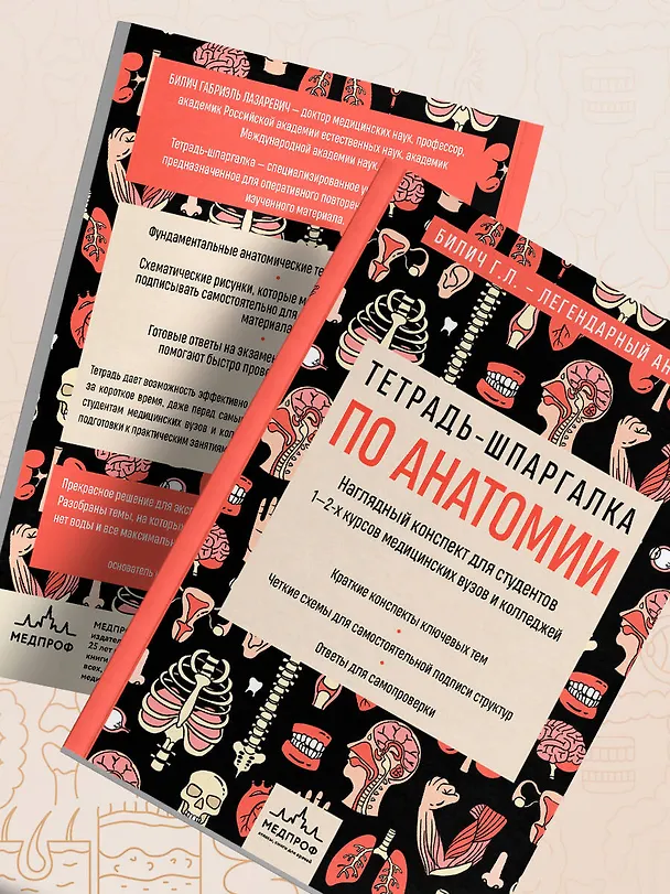 Книга Тетрадь-шпаргалка по анатомии (Елена Зигалова, Габриэль Билич) — 12