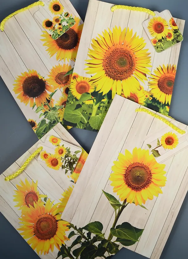 Пакет подарочный бумажный А5 "Sunflower" 241789 — 3