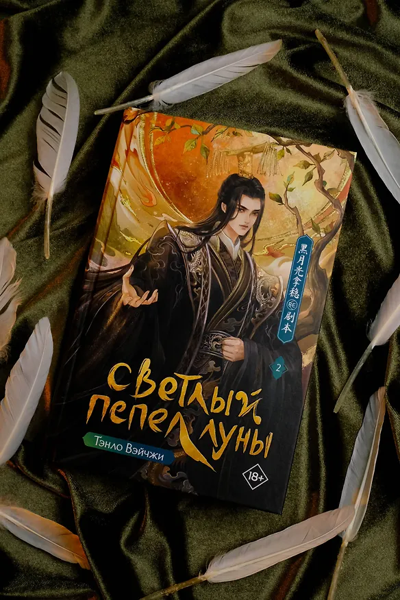 Книга Светлый пепел луны. Книга 2. Новелла (Тэнло Вэйчжи) — 8