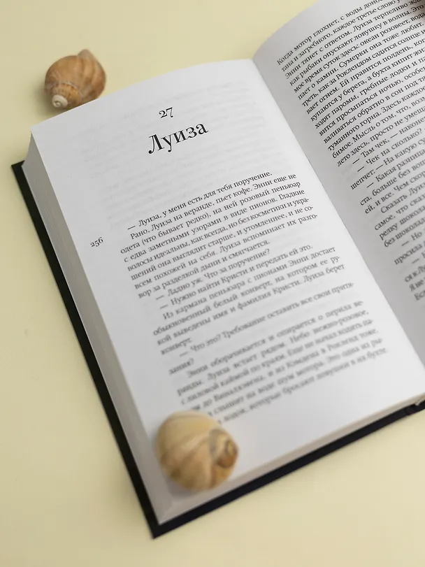Книга Дом, где живет лето (Мег Митчелл Мур) — 10