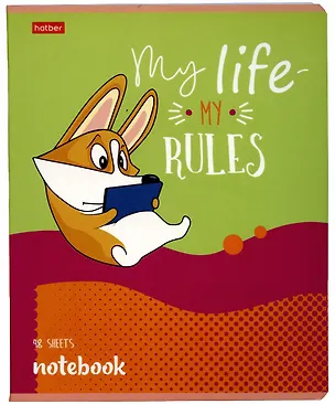 Тетрадь в клетку Hatber, "Рыжий Коржик", 48 листов, в ассортименте 2900112