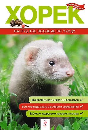 Книга Хорек. Все о покупке, уходе и содержании (Ксения Митителло)