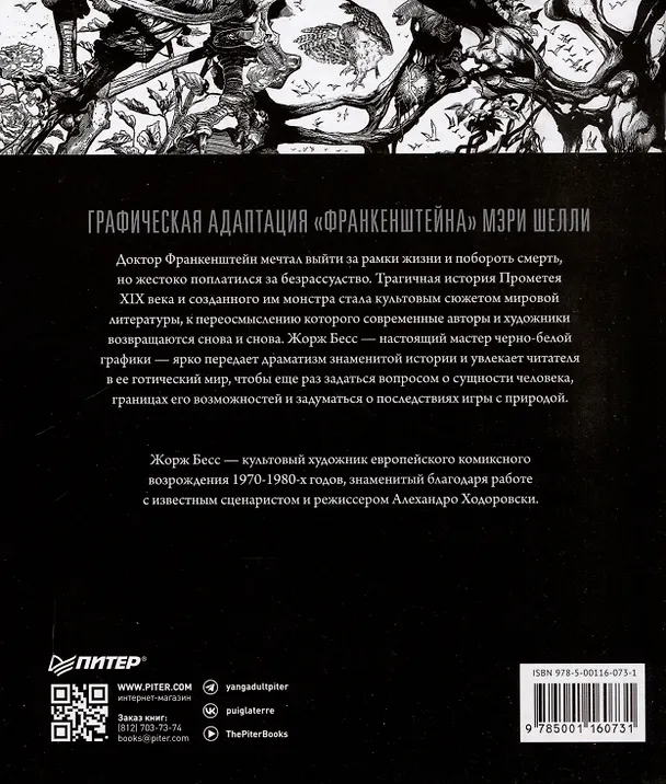 «Франкенштейн» Мэри Шелли. Графический роман 3050730 — 11