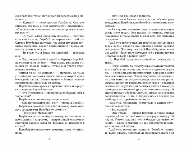 Книга Долгое эхо (Эрин Хантер) — 10
