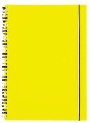 Тетрадь А4 80 листов, клетка, "Favorite Color. Haze" спираль 3090697