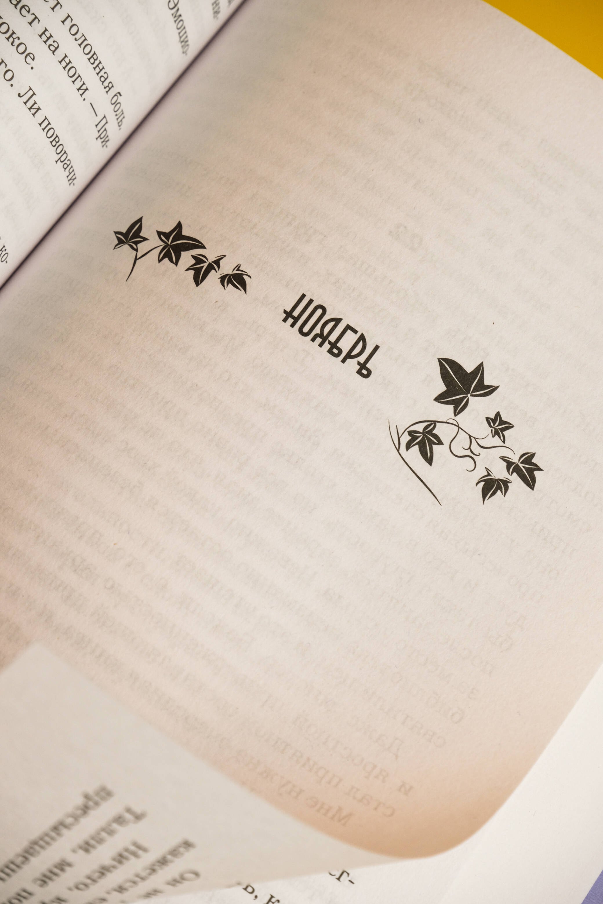 Изображение бумажной книги