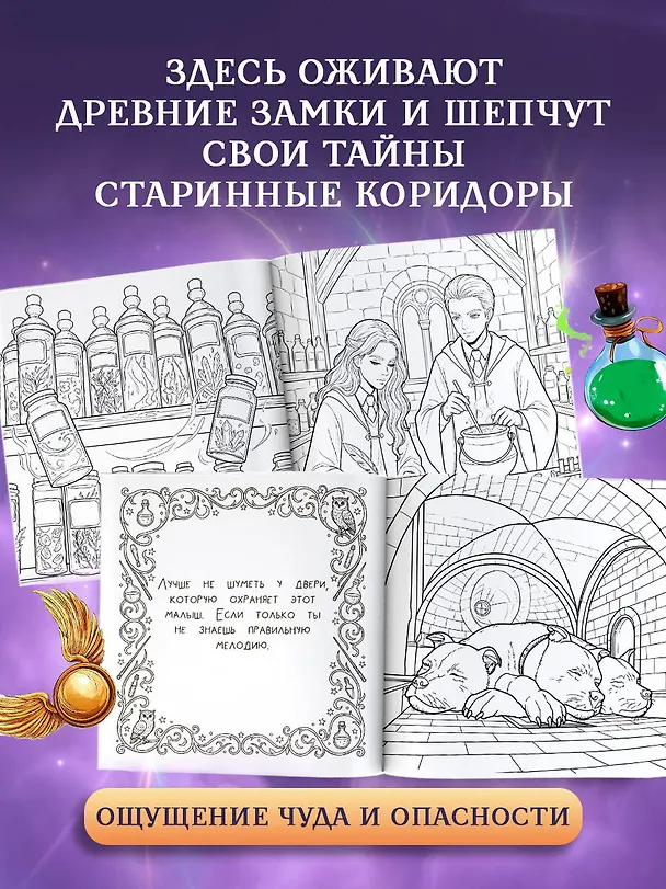 Книга Школа чародейства и волшебства. Раскраска () — 6