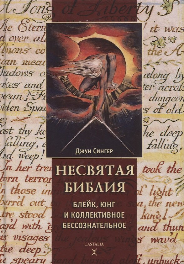 Книга Несвятая Библия. Блейк, Юнг и коллективное бессознательное (Джун Сингер) — 1