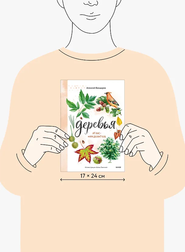 Книга Деревья. Атлас-определитель (Алексей Бондарев) — 8