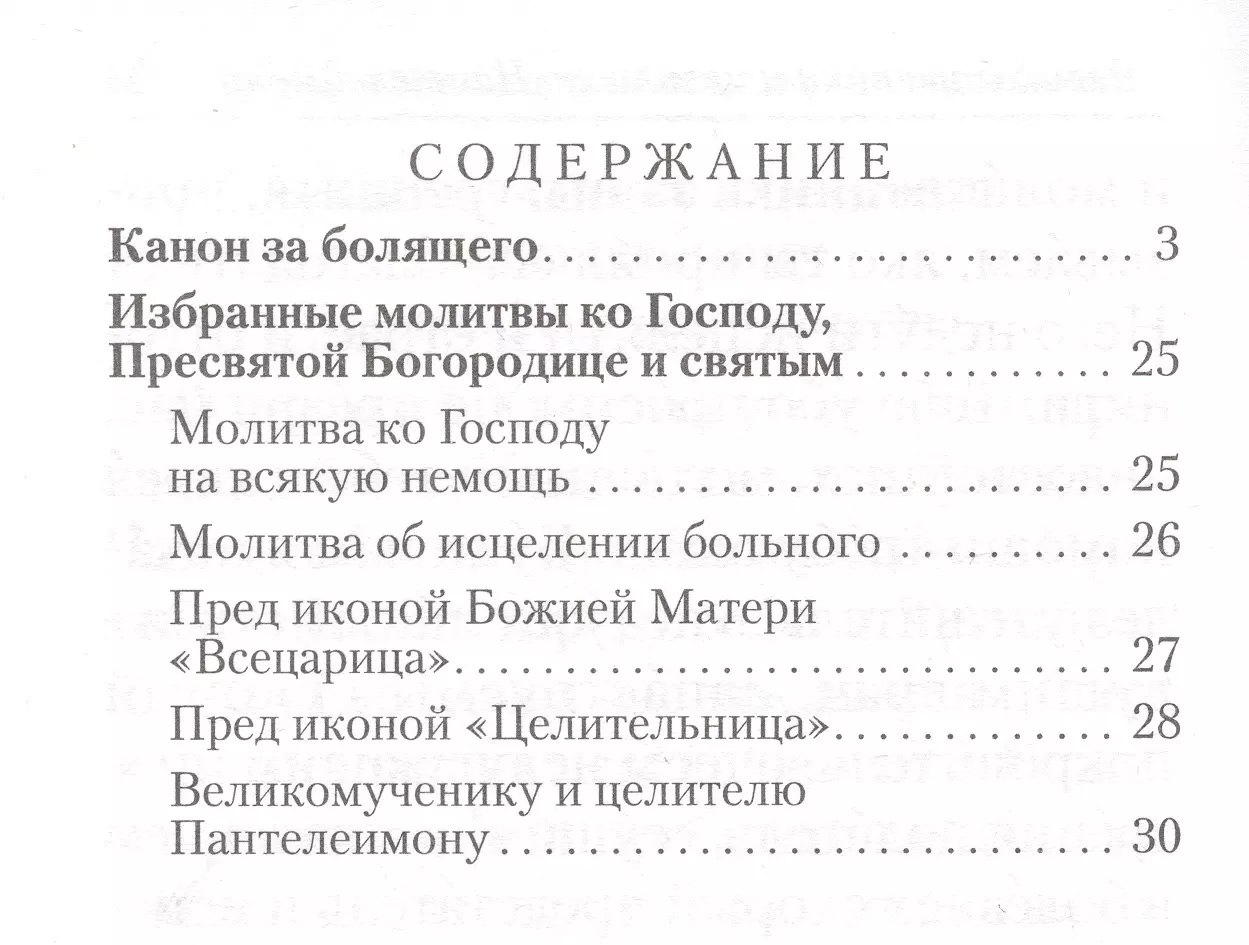 Канон за болящего - купить книгу с доставкой в интернет-магазине  «Читай-город». ISBN: 978-5-906241-63-4