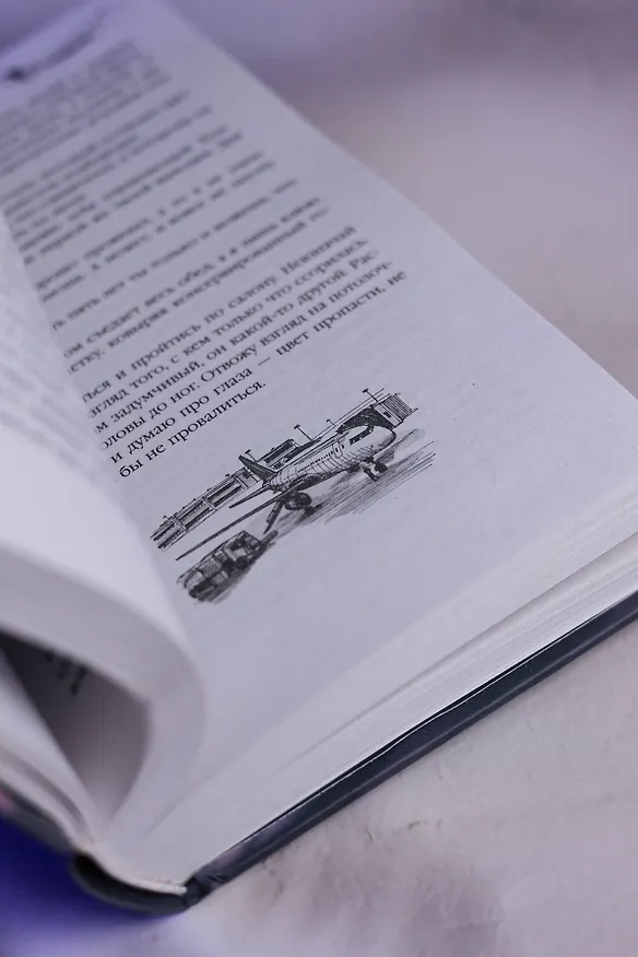 Книга Возвращение домой (Диана Мершери) — 15