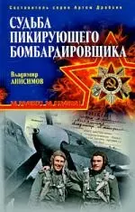 Судьба пикирующего бомбардировщика — 2198363 — 1