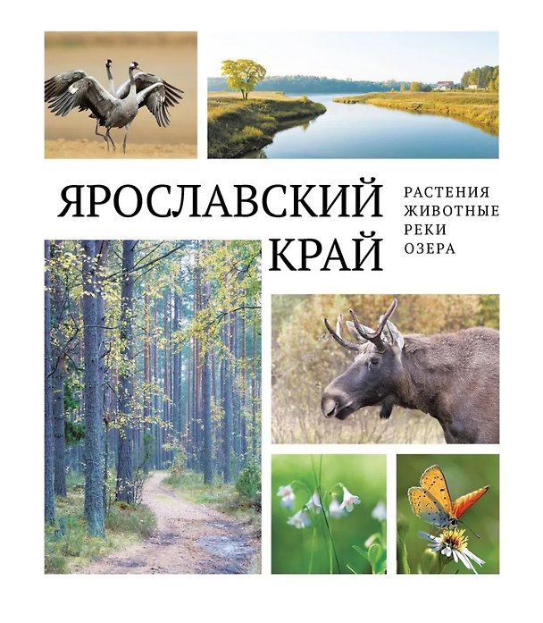 Книга Ярославский край: растения и животные, реки и озера () — 1
