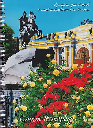 Тетрадь в клетку "СПб", А4, 80 листов, в ассортименте 301971