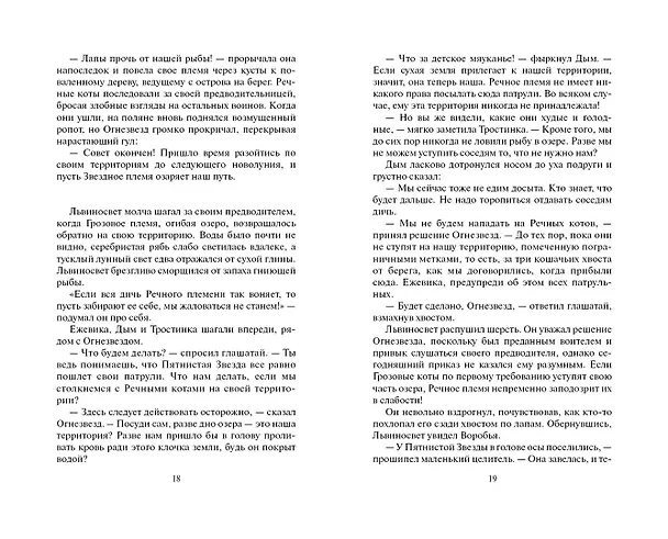 Книга Четвертый оруженосец (Эрин Хантер) — 9