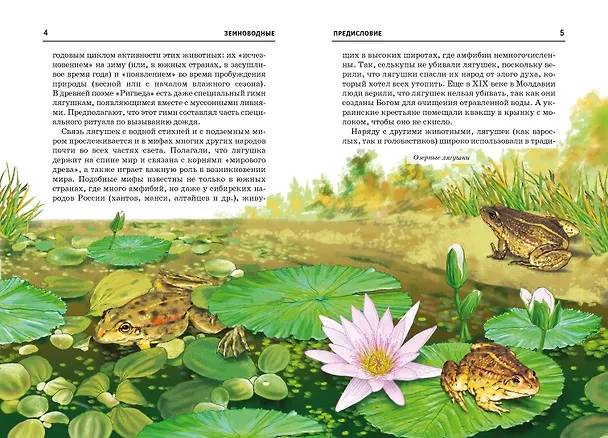 Книга Земноводные. (Екатерина Голубева) — 2