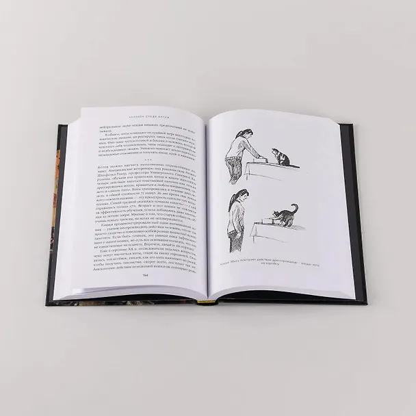Книга Человек среди котов: История близкого соседства (Наталья Резник) — 9