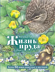 Жизнь пруда