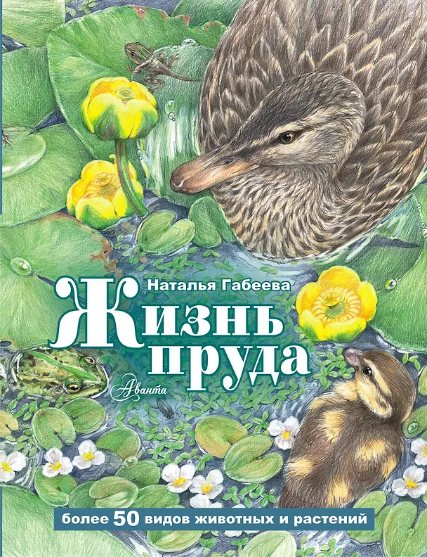Книга Жизнь пруда (Наталья Габеева) — 1