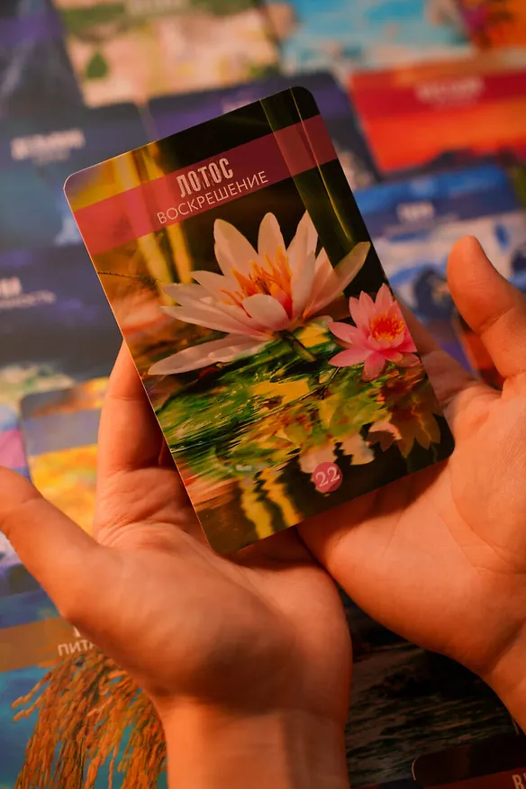 Книга Сила природы. Оракул. 44 карты и руководство. Таро, гадания и знаки (Стивен Д. Фармер) — 13