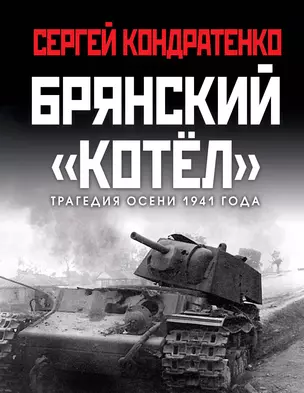 Брянский «котел». Трагедия осени 1941 года — 2892240 — 1