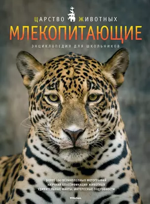 Млекопитающие. Энц. для школьников — 2441696 — 1