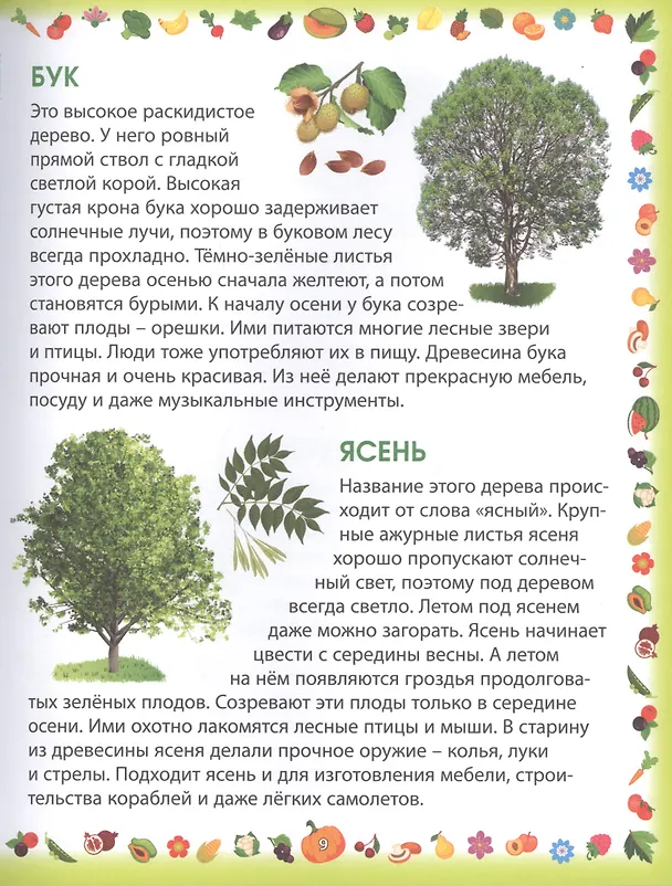 Книга Растения (Елена Гриценко) — 5