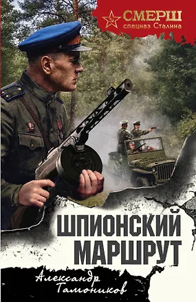 Книга Шпионский маршрут (Александр Тамоников)