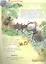 Как живут насекомые? Книжка-активити. Задания и головоломки + более 60 наклеек с животными — 2909579 — 2