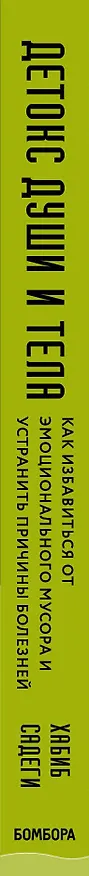 Книга Детокс души и тела. Как избавиться от эмоционального мусора и устранить причины болезней (Хабиб Садеги) — 3