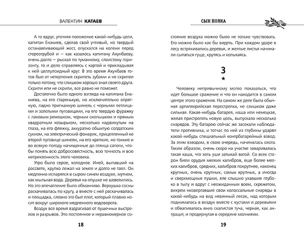 Книга Сын полка (Валентин Катаев) — 6