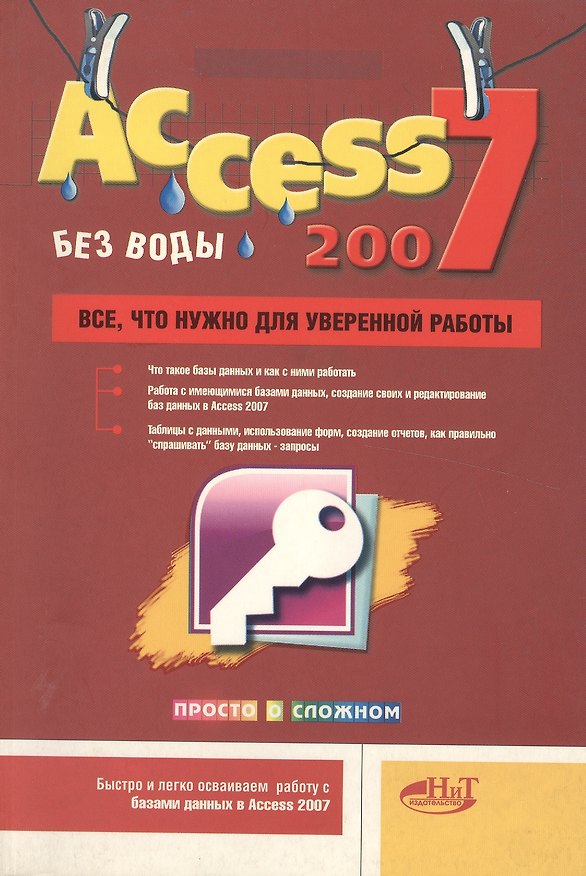 Книга Access 2007 "без воды". Все, что нужно для уверенной работы (А. Голышева) — 1