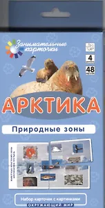 Арктика. Природные зоны. Окружающий мир: 48 карточек для обучающей игры