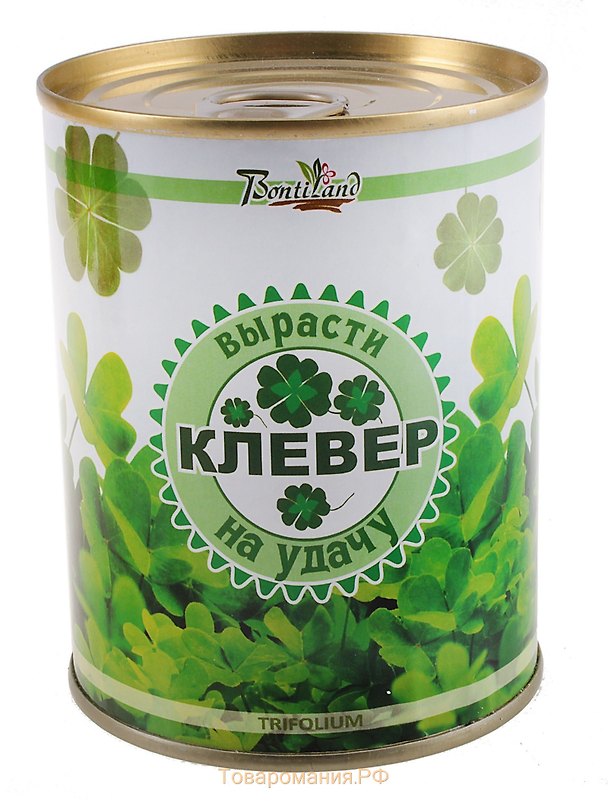 Цветок в банке "Клевер на удачу" (410497) 2371566 — 1