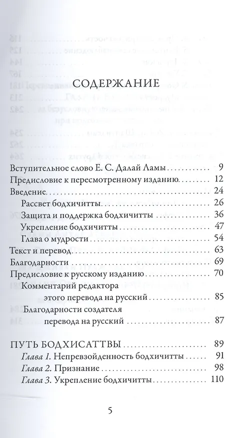 Книга Бодхичарьяватара. Путь бодхисаттвы (Шантидева) — 2