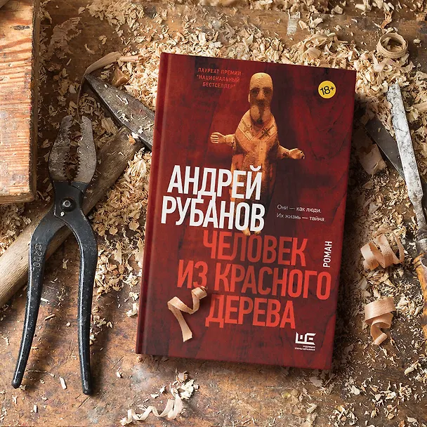 Книга Человек из красного дерева (Андрей Рубанов) — 7