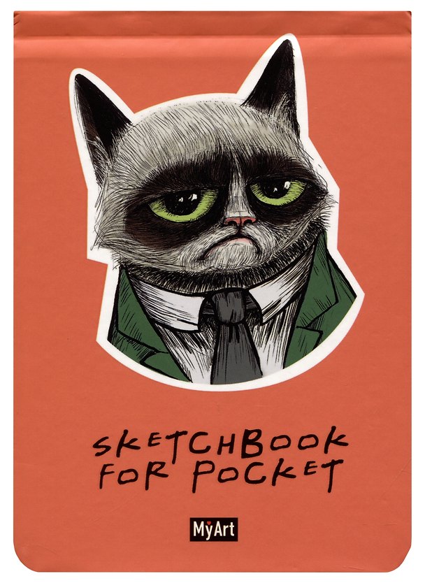 Скетчбук А6 48л "Sketchbook for Pocket. Грустный котик" 120г/м2, резинка, тв.обложка 2984315 — 1