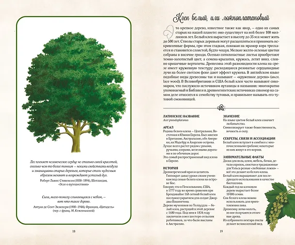 Книга Тайный язык деревьев (Джилл Дэвис) — 4
