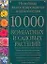 10000 комнатных и садовых растений: Новейшая иллюстрированная энциклопедия: Альбом — 2111906 — 1