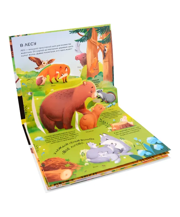 Книга Дикие животные: книжка- панорамка () — 2
