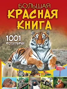 Большая красная книга. 1001 фотография
