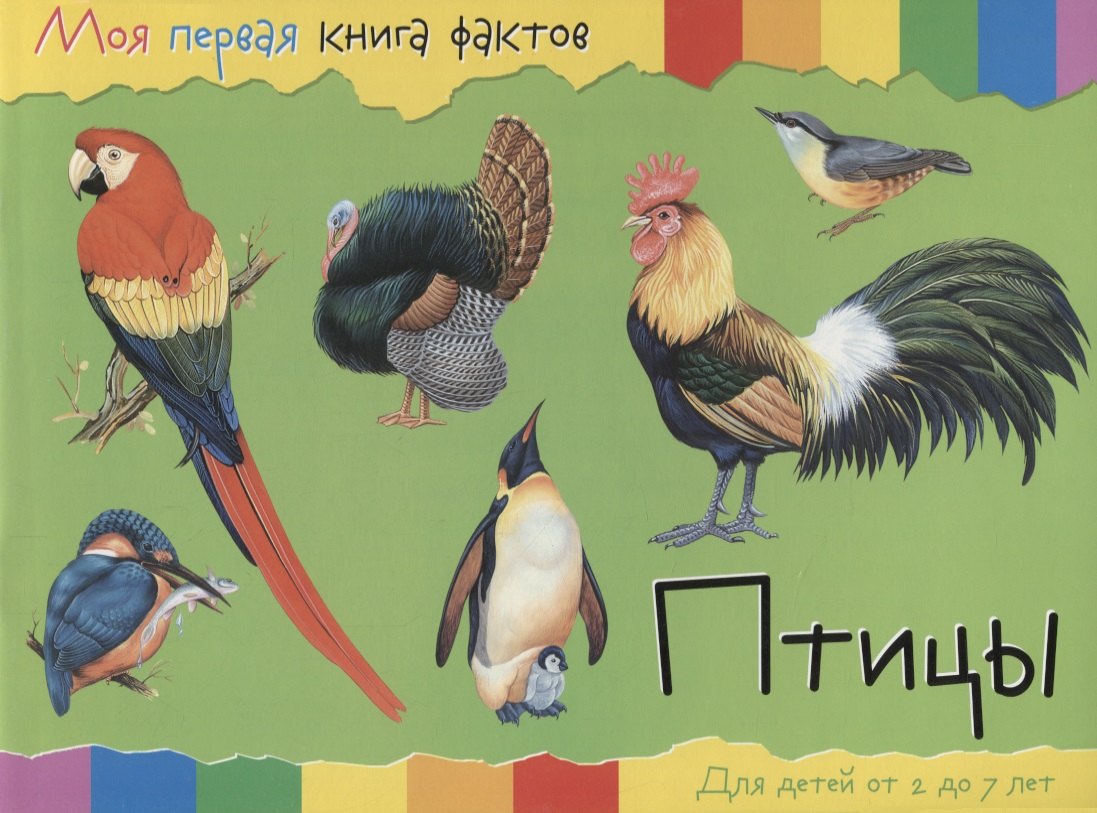 

Птицы (2-7 лет) (+ накл.) (мМояПервКнФакт)