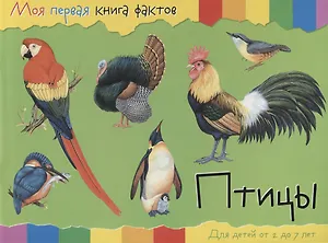Птицы (2-7 лет) (+ накл.) (мМояПервКнФакт)