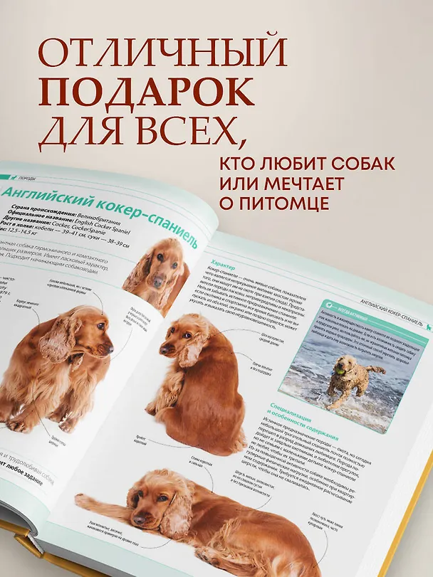 Книга Собаки. Подарочная иллюстрированная энциклопедия (новое оформление) (Андрей Шкляев) — 7