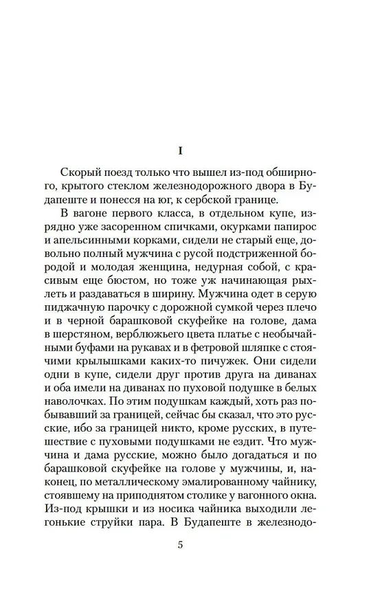 Книга Наши за границей. В гостях у турок (Николай Лейкин) — 10