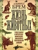 Жизнь животных. Самая важная и интересная информация, дополненная современными данными — 2187794 — 1